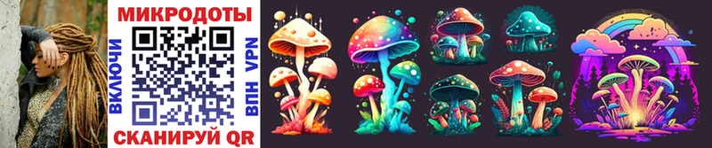 Купить  Слюдянка  Псилоцибиновые грибы Psilocybe 